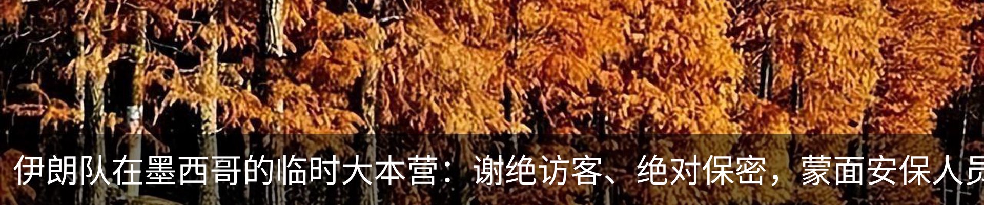 最新动态