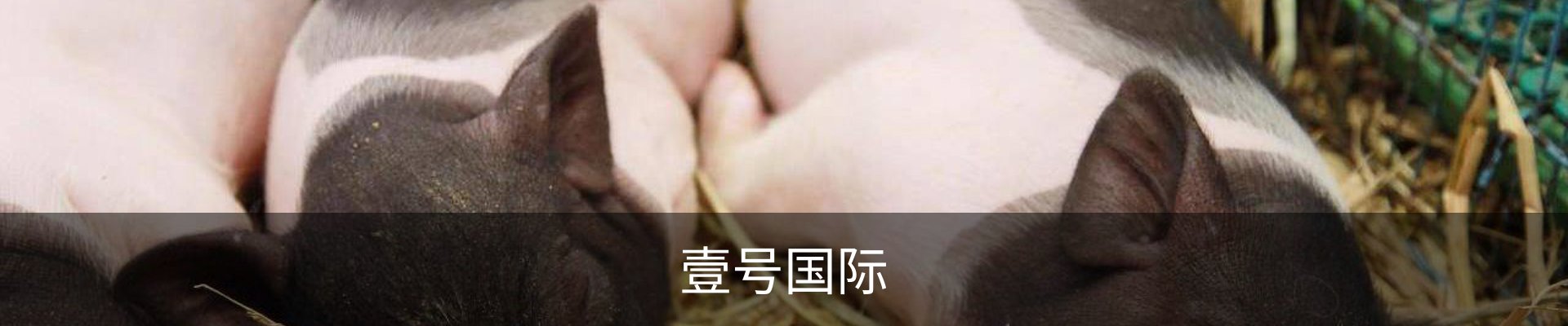 壹号国际· (娱乐)官方网站